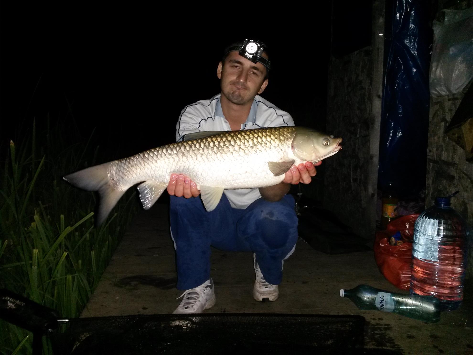 Magura 9 22 - 23 august 2014 - 20140822235920.jpg